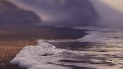 400_225gif 动态图 动图