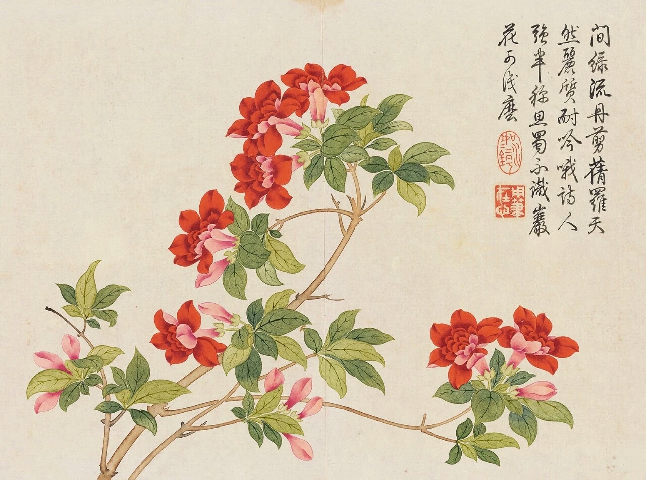 乾隆御题钱维城花卉册