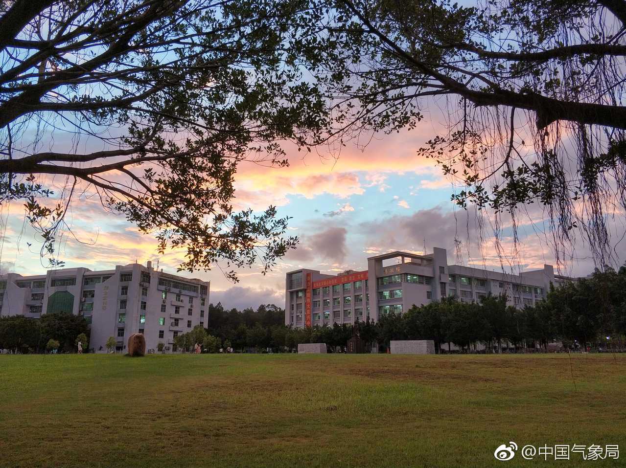 小象博士词穷啦～坐标 粉丝 供图|小象|玉林师范学院|坐标_新浪新闻