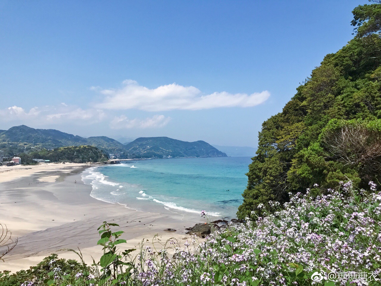 超级喜欢白滨神社的海上鸟居和这里海水的颜色，美到窒息|白滨|海水|神社_新浪新闻