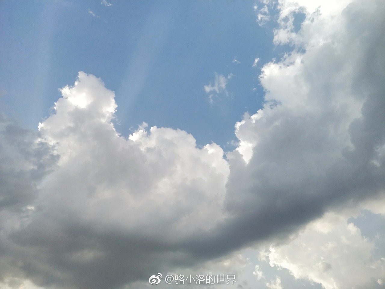 大风起兮云飞扬|大风起兮|云飞扬_新浪新闻