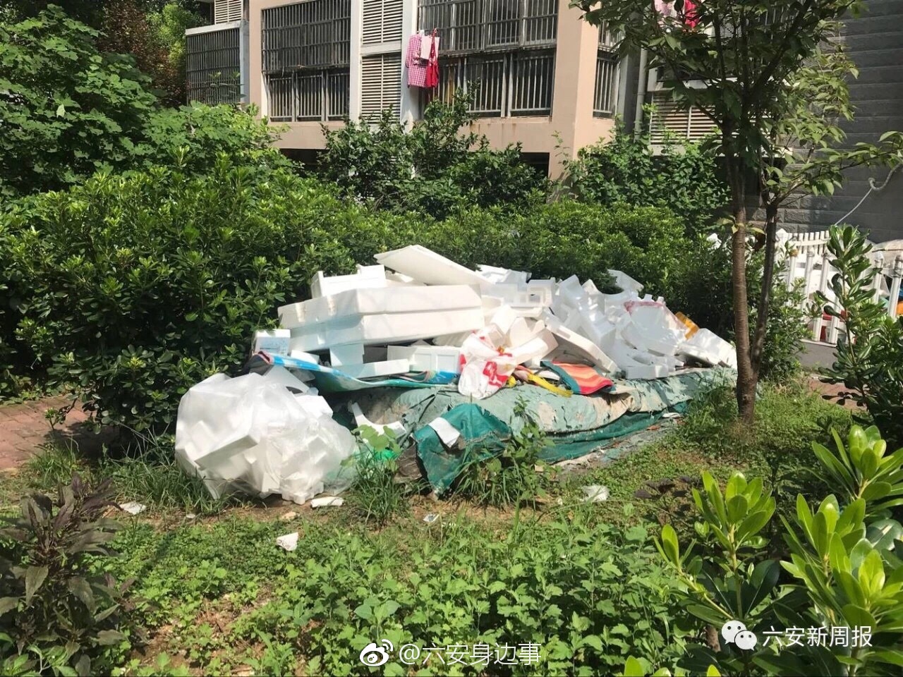 六安上东阳光城小区环境脏乱差 业主意见大