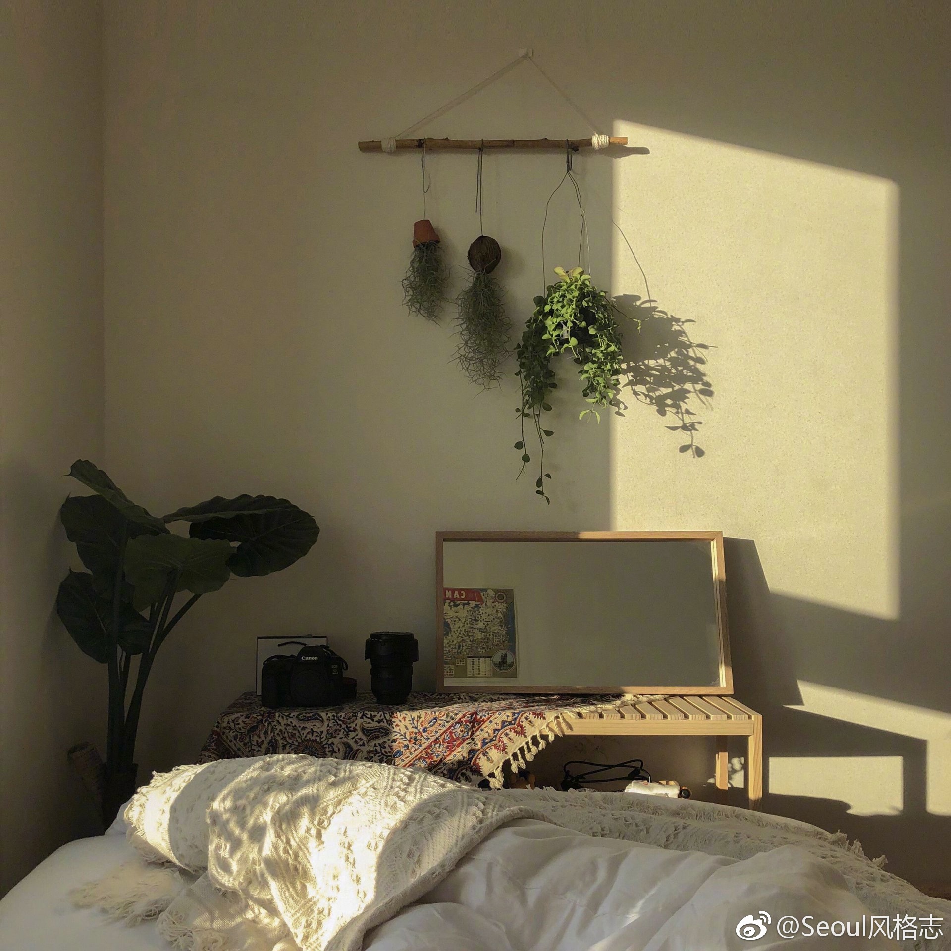 用绿植做为点睛之笔，增添房间的健康气息。|绿植|气息|房间_新浪新闻