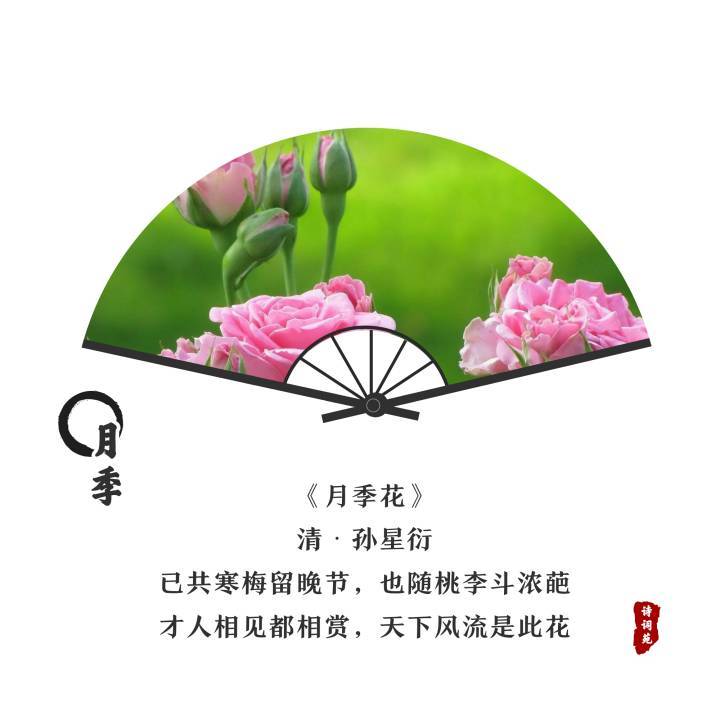 诗词盘点——与花有关的古诗词_新浪看点