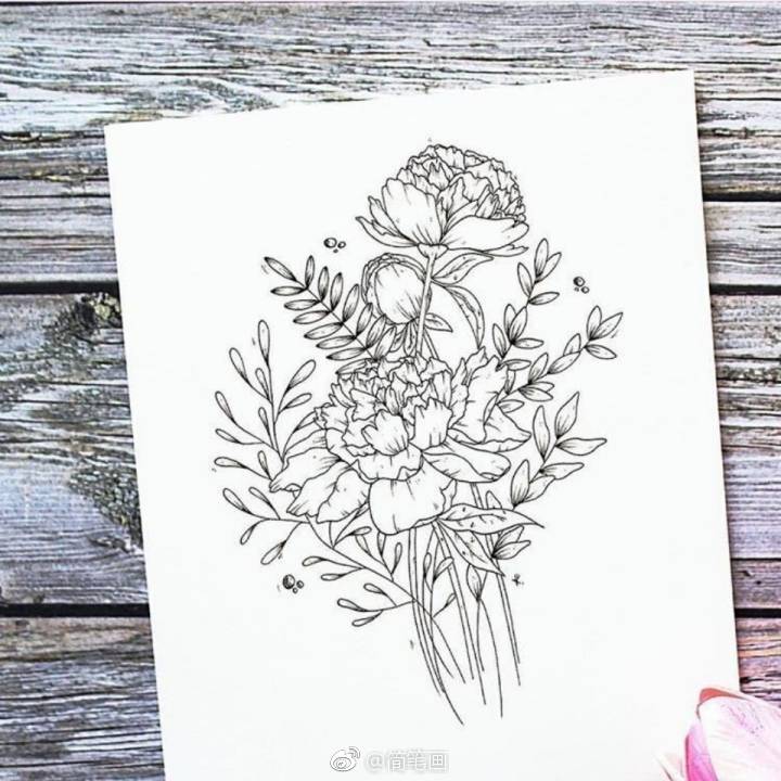 小清新花卉线描(ins:wildbloomsrt)