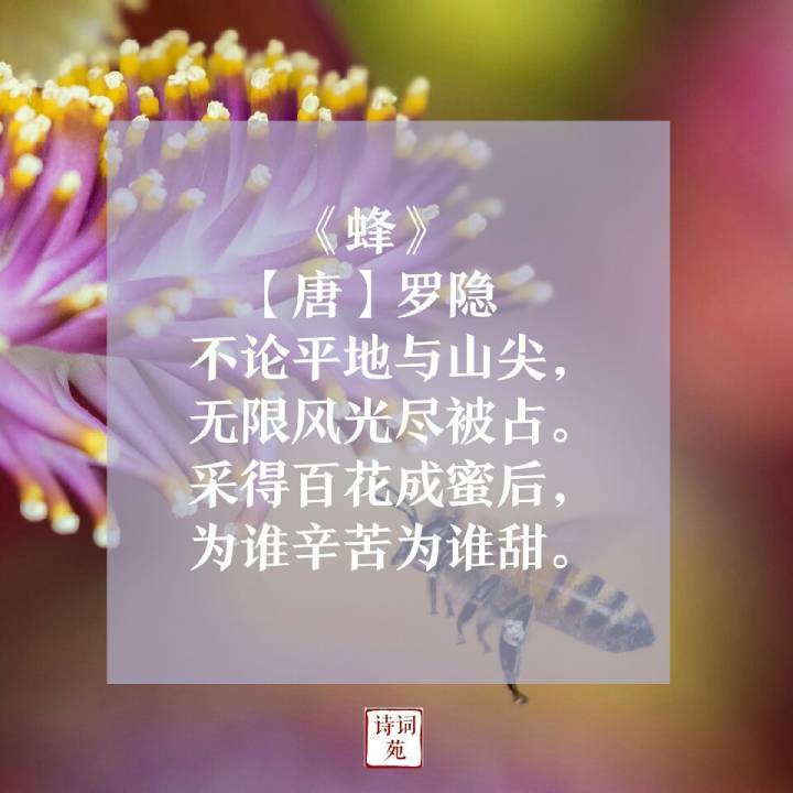 诗词盘点咏物诗