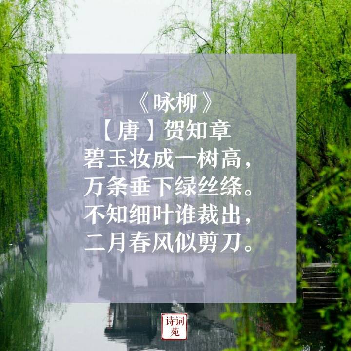 诗词盘点咏物诗