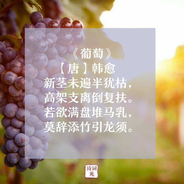 诗词盘点咏物诗