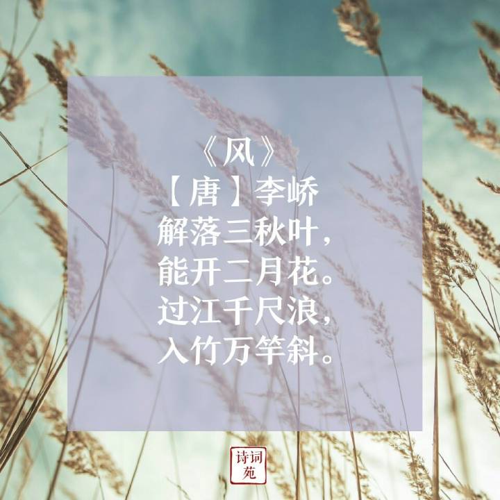 诗词盘点咏物诗