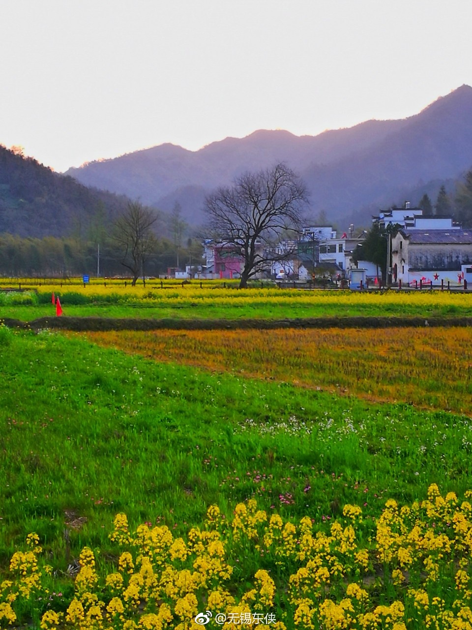 傍晚的安徽黟县柯村一人悠然散步田野间看着暮色西沉