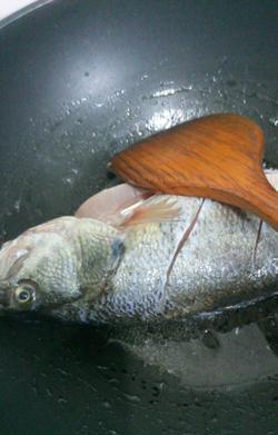 啤酒鸭|啤酒鱼|鲈鱼_新浪网