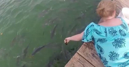 女子池塘边给鱼喂食,朋友叫她赶快离开,接下来