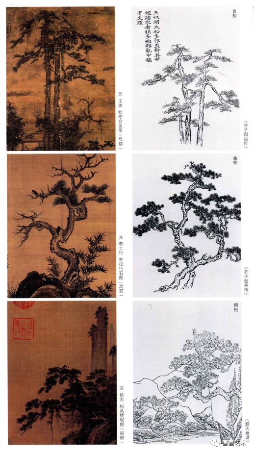 图文教程：松树的画法解析|松针|松树|松干_新浪新闻