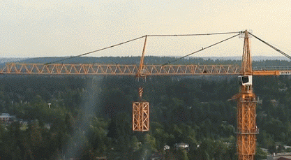 417_229gif 动态图 动图