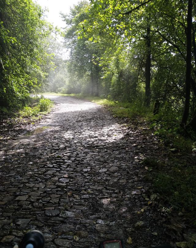 云南最美公路?这么整齐的石头路,你们见过吗?