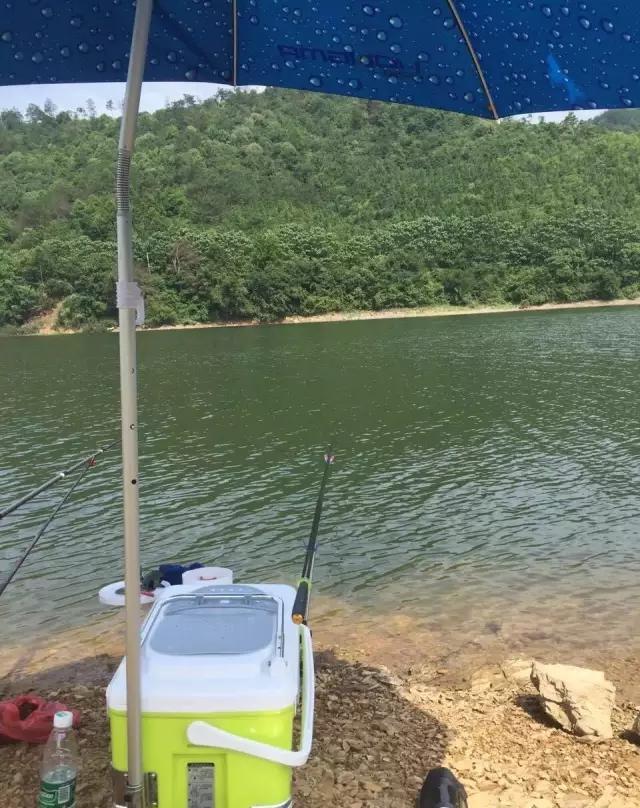 烈日炎炎,钓鱼人到底图个啥?