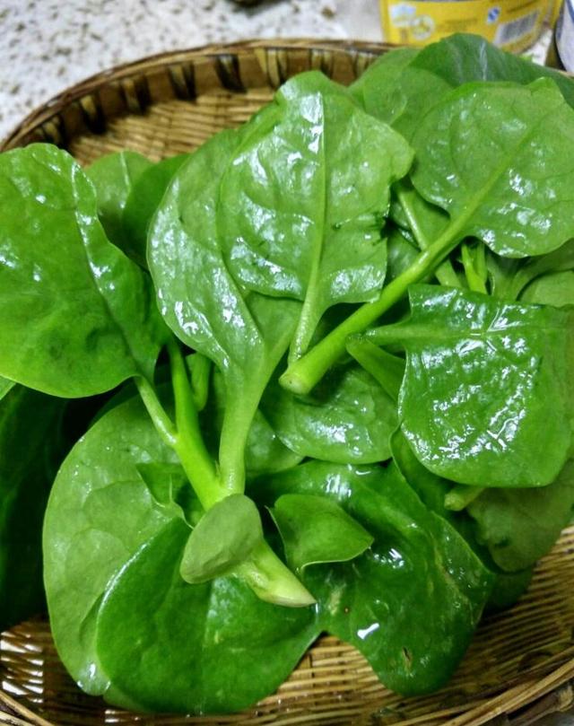 最好别给孕妇吃,不是娇气,是可能伤害胎儿哦|孕妇|蔬菜|木耳菜_新浪