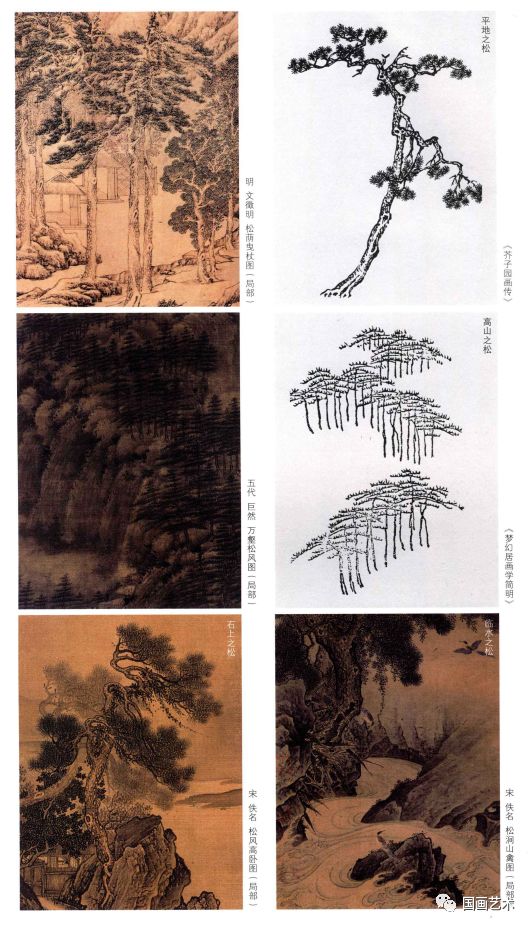 图文教程:松树的画法解析|松针|松树|松干_新浪新闻