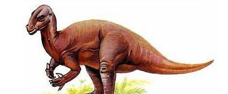 我咋数不清呢?|恐龙|脚指头|脚趾_新浪新闻