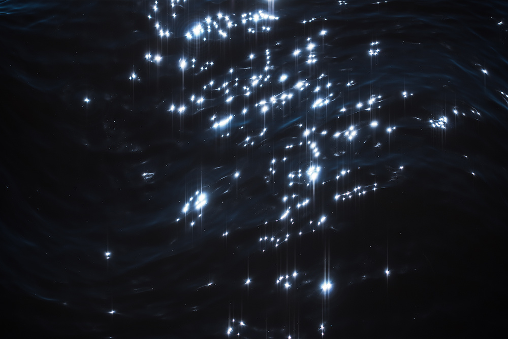 诗意 暗色调 || nydia lilian|暗色|诗意|摄影师_新浪新闻