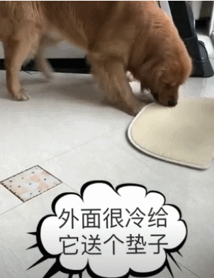 302_391竖版 竖屏gif 动态图 动图