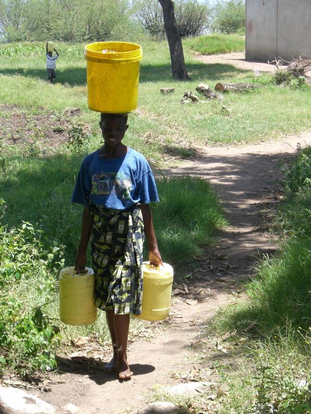 肩膀|水桶|脑袋_新浪网