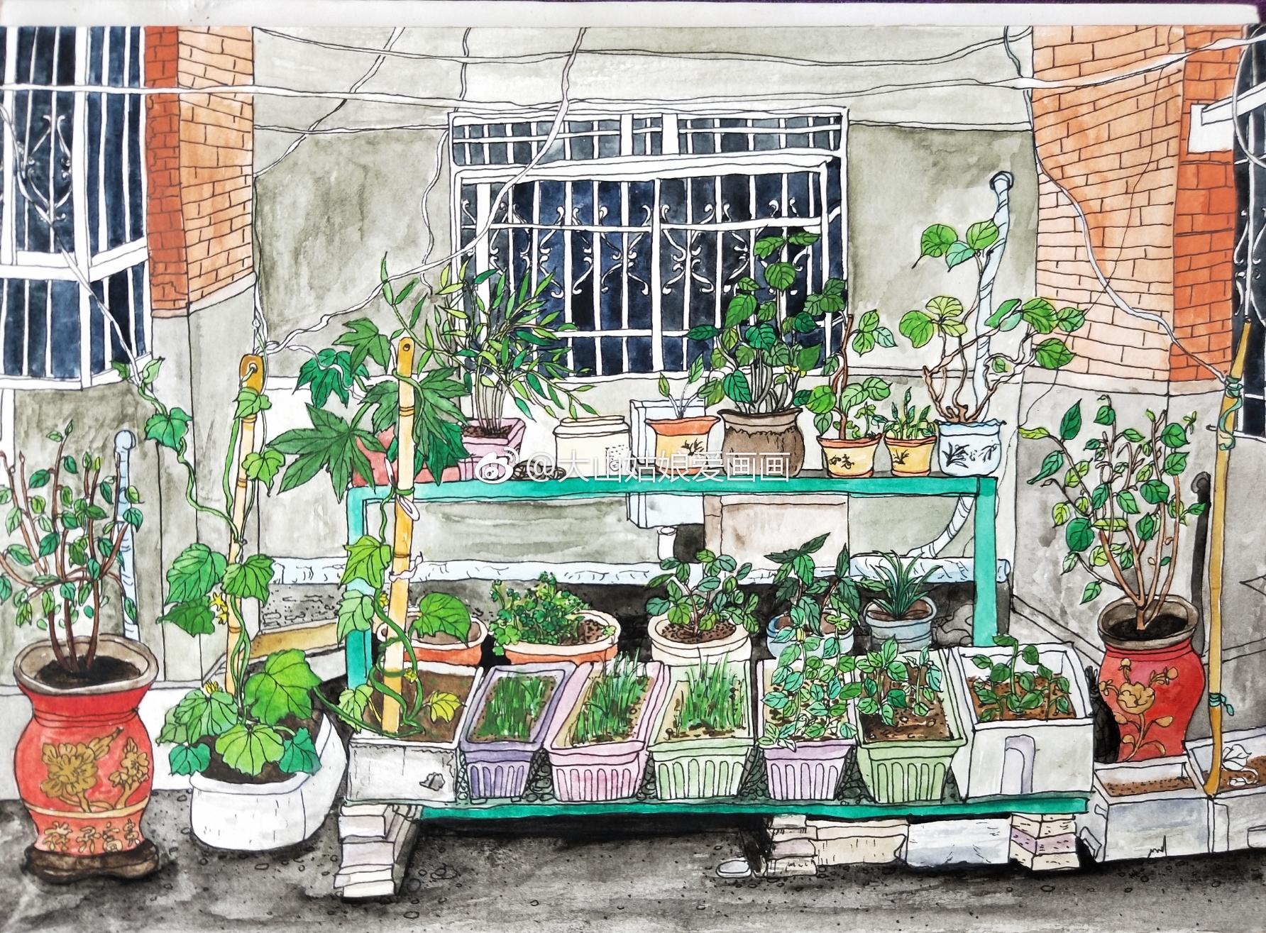 水彩速写老房子楼下的菜园投稿大山姑娘爱画画