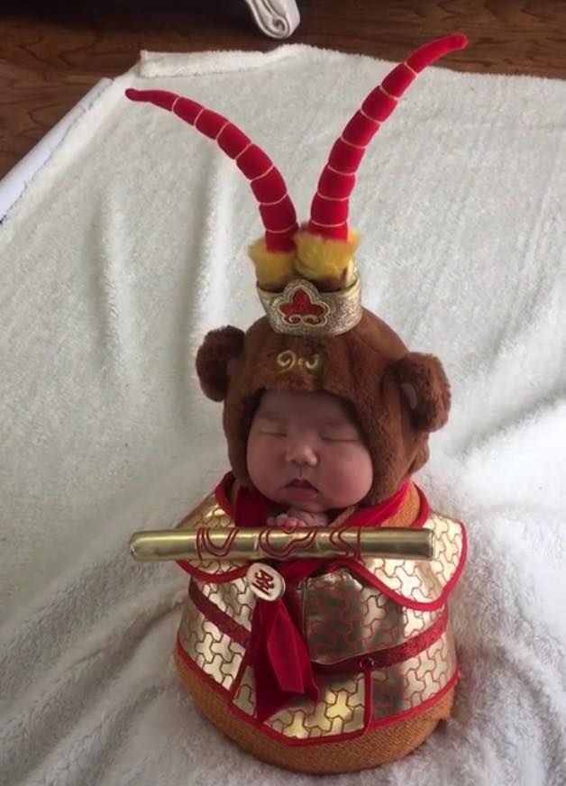 这父母也太狠了,恶搞宝宝主题摄影,让宝宝以后怎么见人?