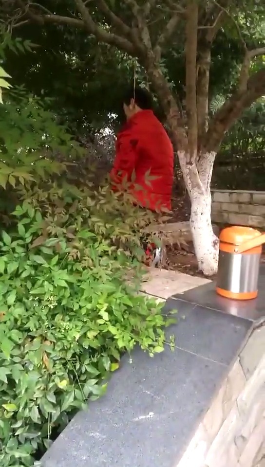 资阳身边事【乐至崇教寺树林发现一上吊者 】 今日上午,在乐至崇教寺