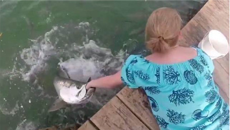 女子池塘边给鱼喂食,朋友叫她赶快离开,接下来