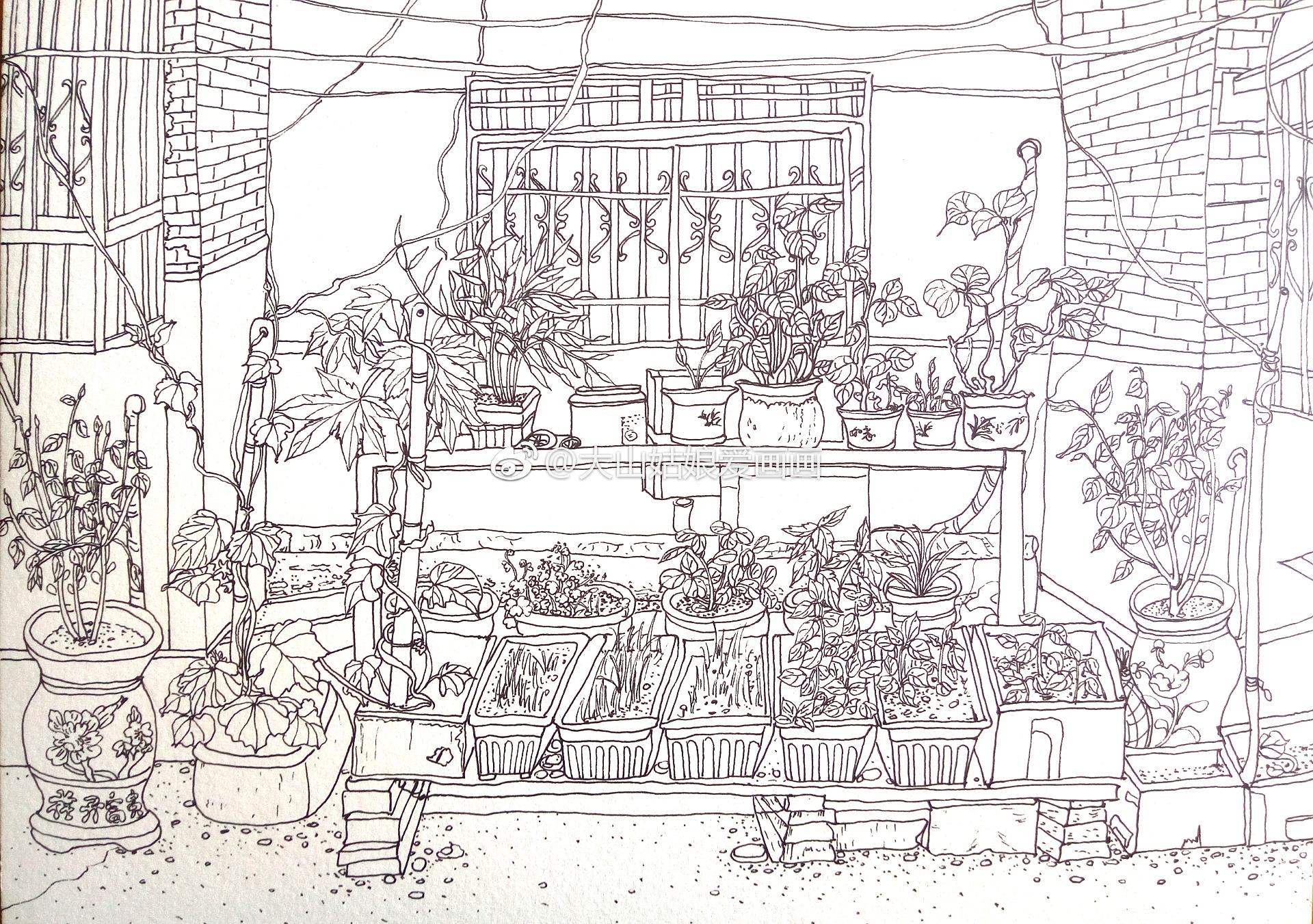 水彩速写老房子楼下的菜园投稿大山姑娘爱画画