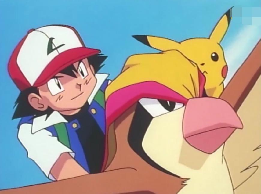 小智放生的神奇宝贝有9只第2和第3只要是还在小智肯定不止16强