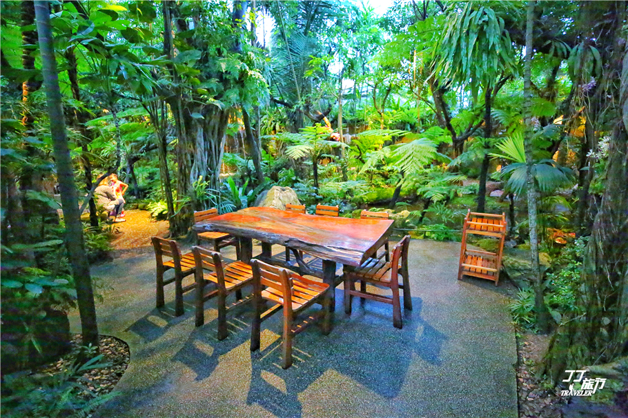泰国清迈很奇葩的黑森林餐厅,就像在森林中用餐一样