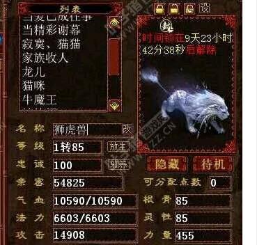 大话西游2有噱头没卵用的宝宝, 高级守护最失败