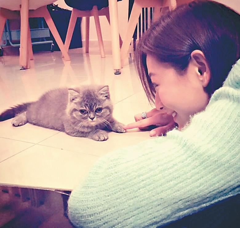 江若琳与男友合影爱猫显甜蜜 手上婚戒抢镜