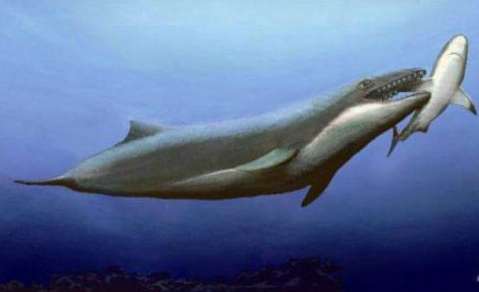 5种极为凶狠的史前物种,第3种极可能会重新复活