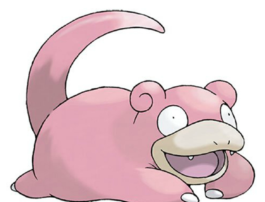 盘点精灵宝可梦里那些萌可爱的神奇宝贝