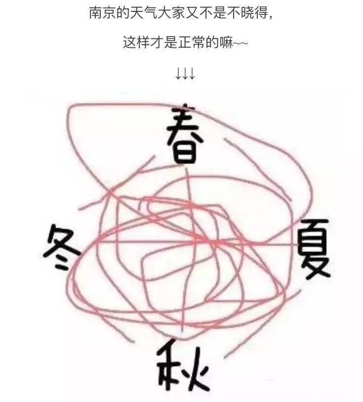 冻懵了! 周末天气怎么样?