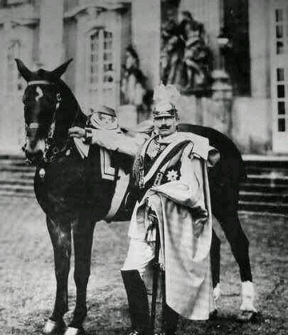 1914年6月28日,奥地利的皇太子斐迪南大公携妻子索菲娅到萨拉热窝访问