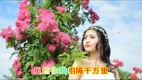 2018最火最潮的歌,好听到流泪,转发到朋友圈,大