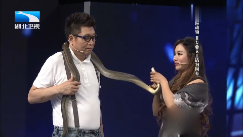 美女将蟒蛇放在王为念身上并试图让蛇亲他吓的王为念拔腿就跑