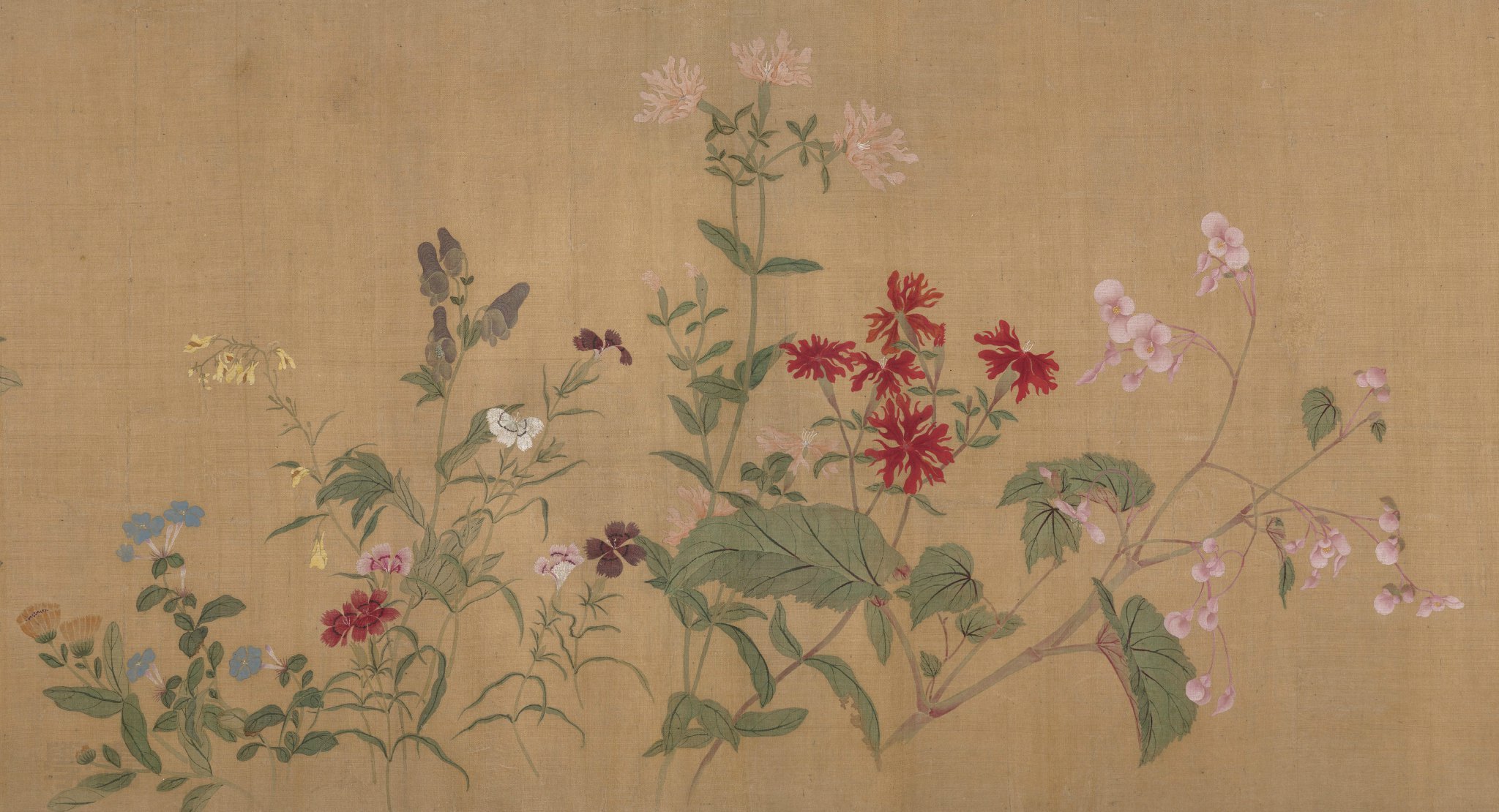 恽寿平 · 没骨画精品《百花图卷》美国大都会博物馆藏,高清大图