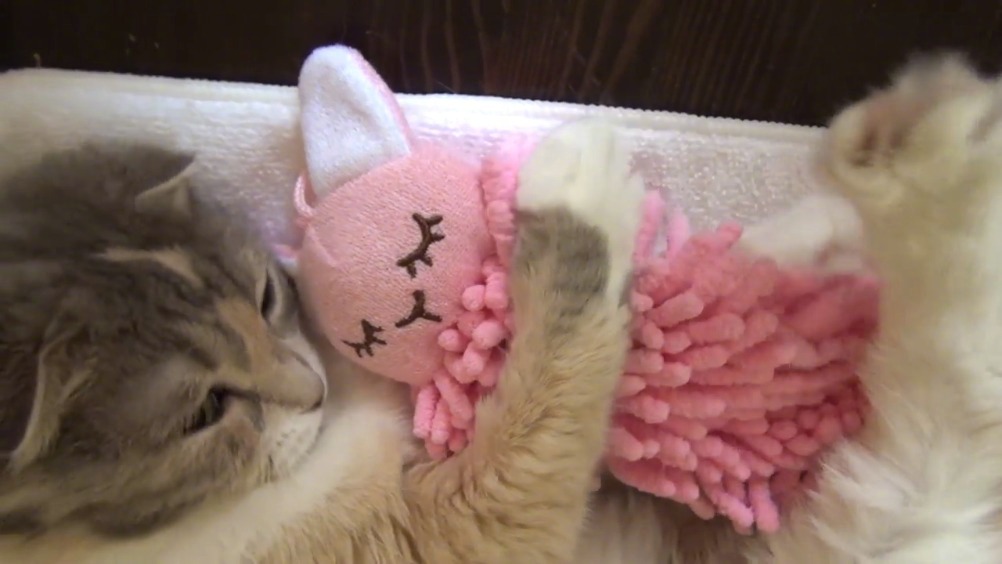 抱着小兔兔玩偶睡觉,这也太甜了吧!