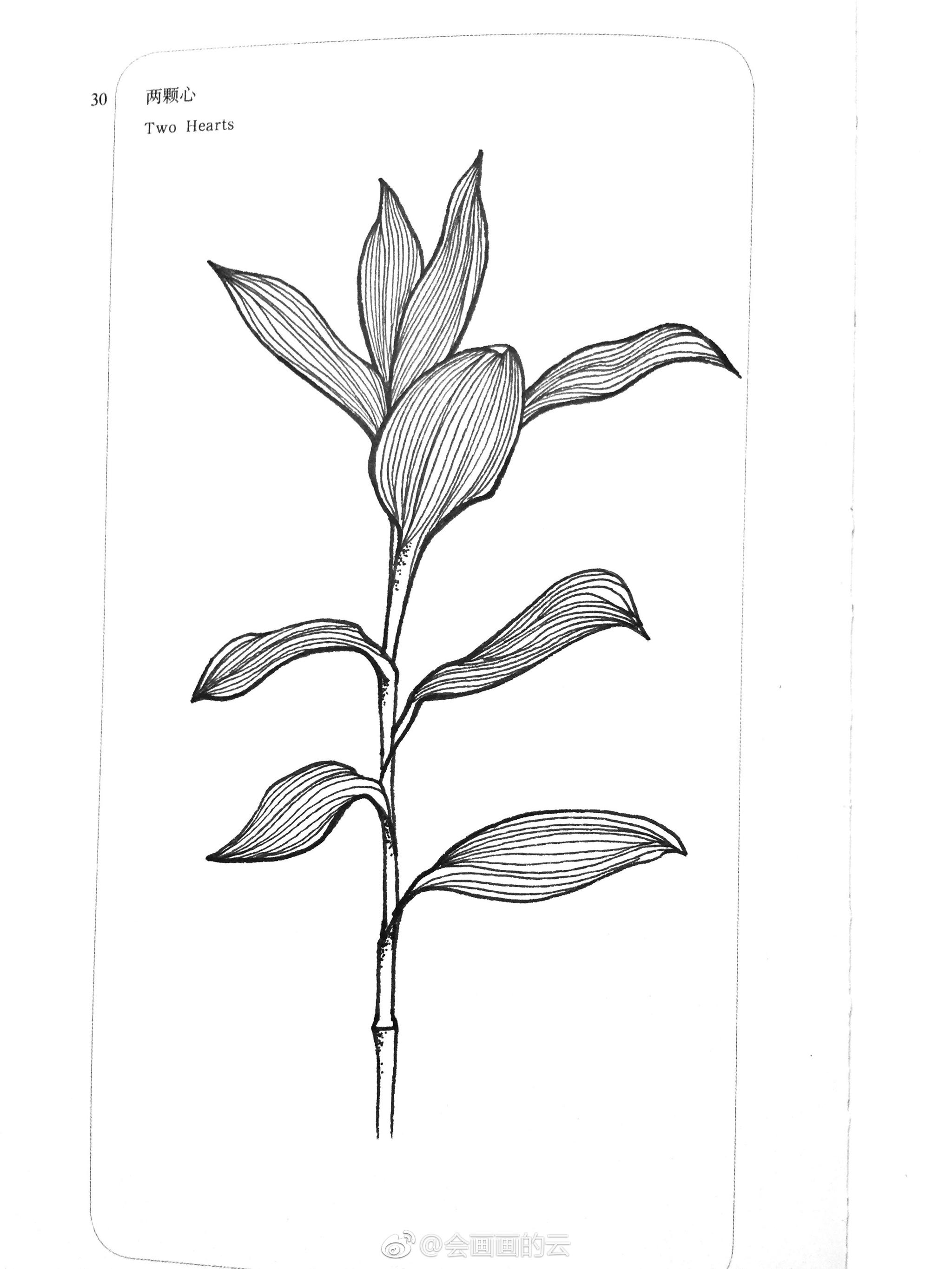 近期线条手绘小集作者(|小集|手绘|线条_新浪新闻