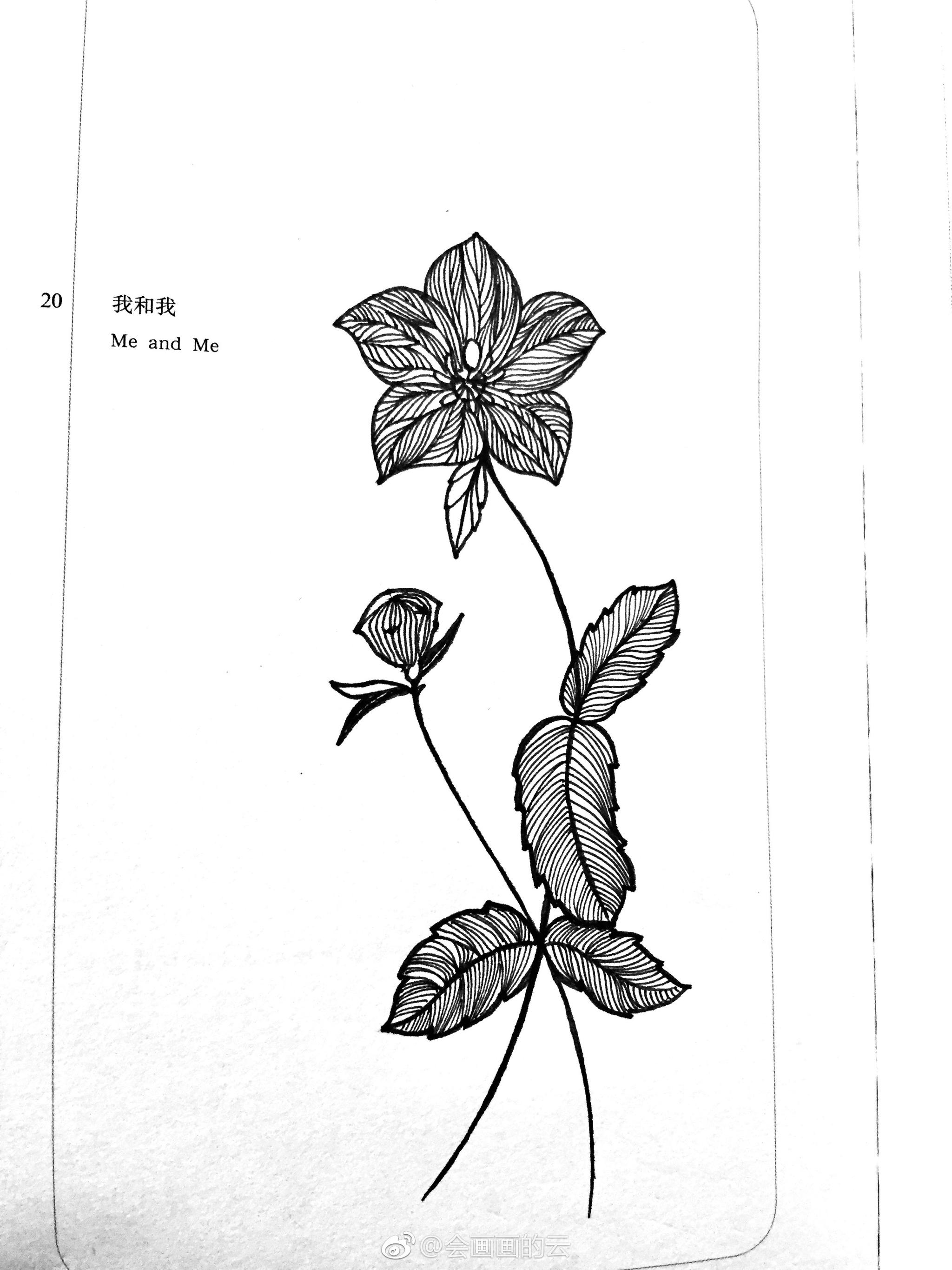 近期线条手绘小集作者