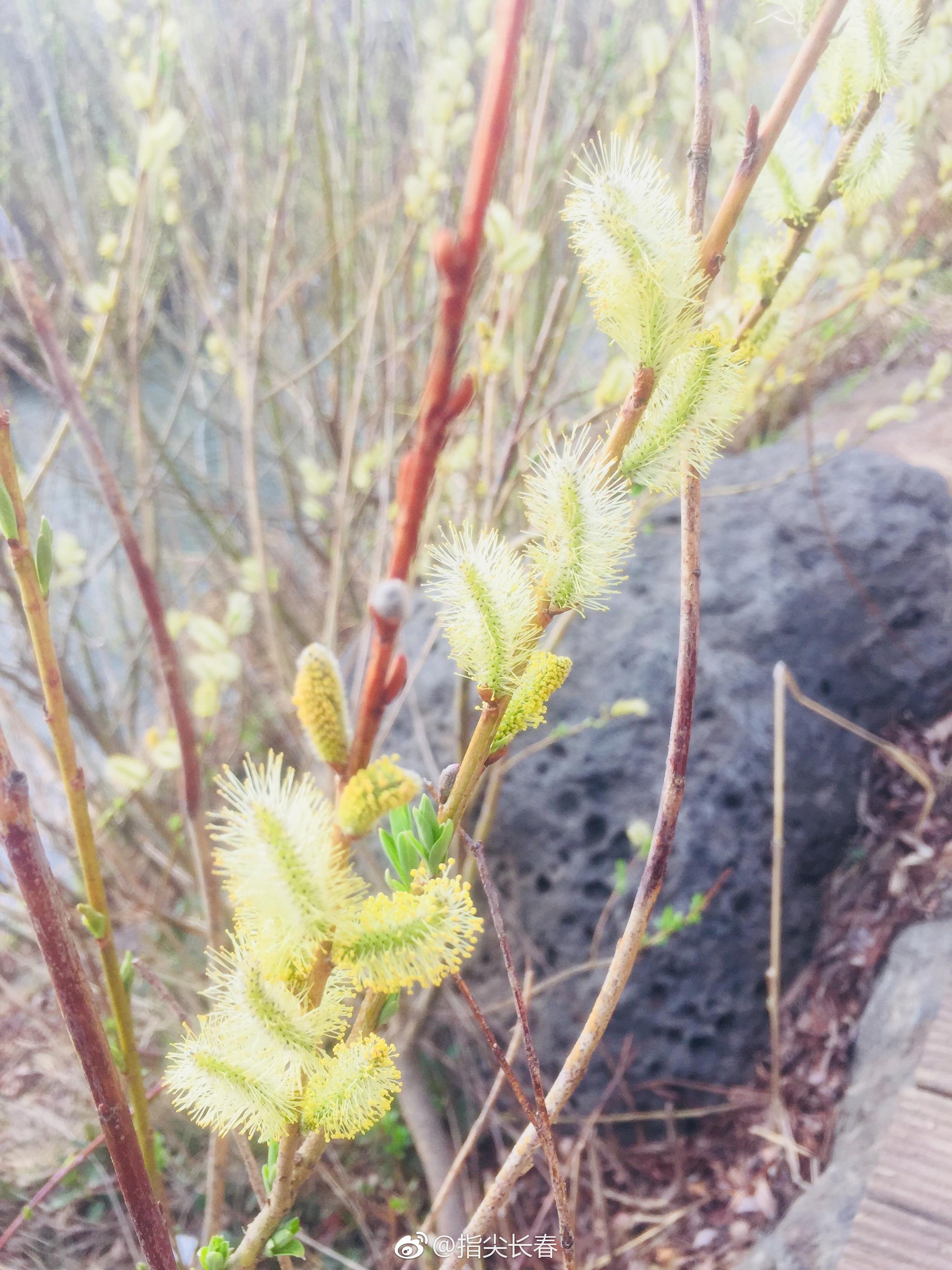 臭水长达七十多米