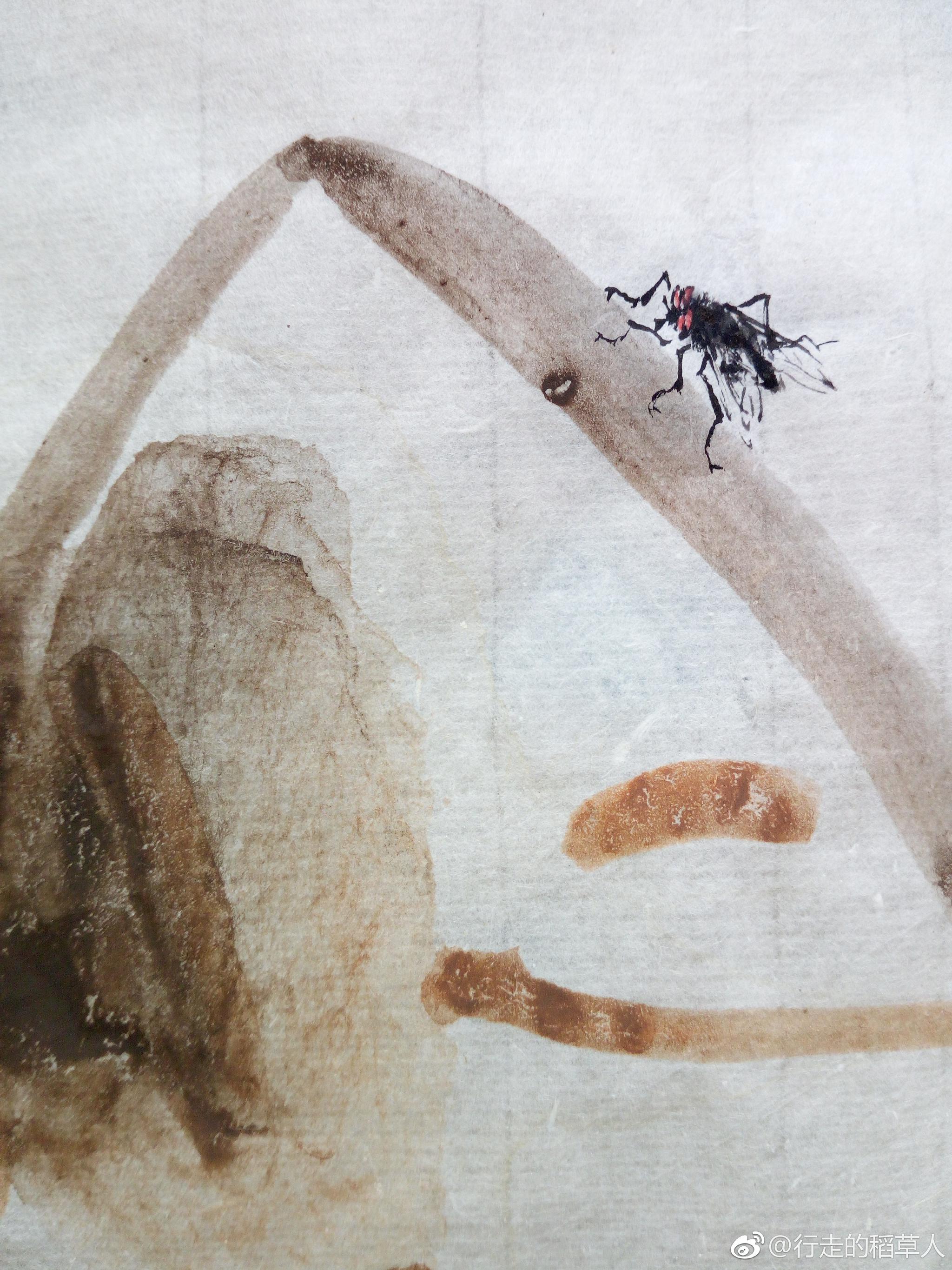 简约布白平心静气观蝇得趣草间乐活杜玉寒草虫画谱蝇篇