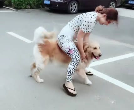 女主人太逗比,把狗狗当马骑,一脚跨上去后,狗狗不对劲了!