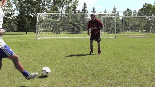 500_281gif 动态图 动图