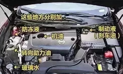 汽车各种油液多久换一次?记住它就能少往4s店跑!